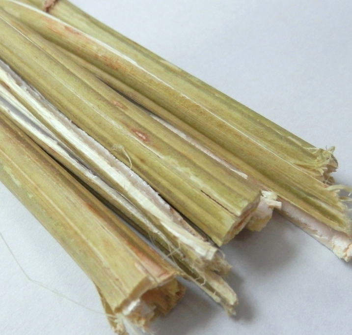 Hemp stems with bast skin unretted non-decorticated